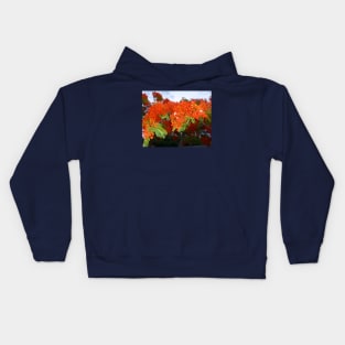 Tropical Elegance: Poinciana Tree Photo Artwork Kids Hoodie